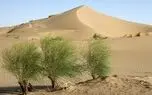بیابان‌زایی از حاشیه گذشت؛ ۲۰ میلیون هکتار از ایران به کانون بحران تبدیل شده است