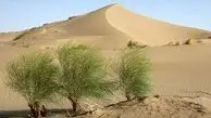 بیابان‌زایی از حاشیه گذشت؛ ۲۰ میلیون هکتار از ایران به کانون بحران تبدیل شده است
