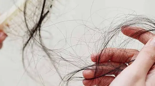 برنج روی ریزش مو تاثیر دارد؟