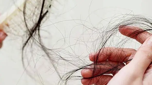 برنج روی ریزش مو تاثیر دارد؟