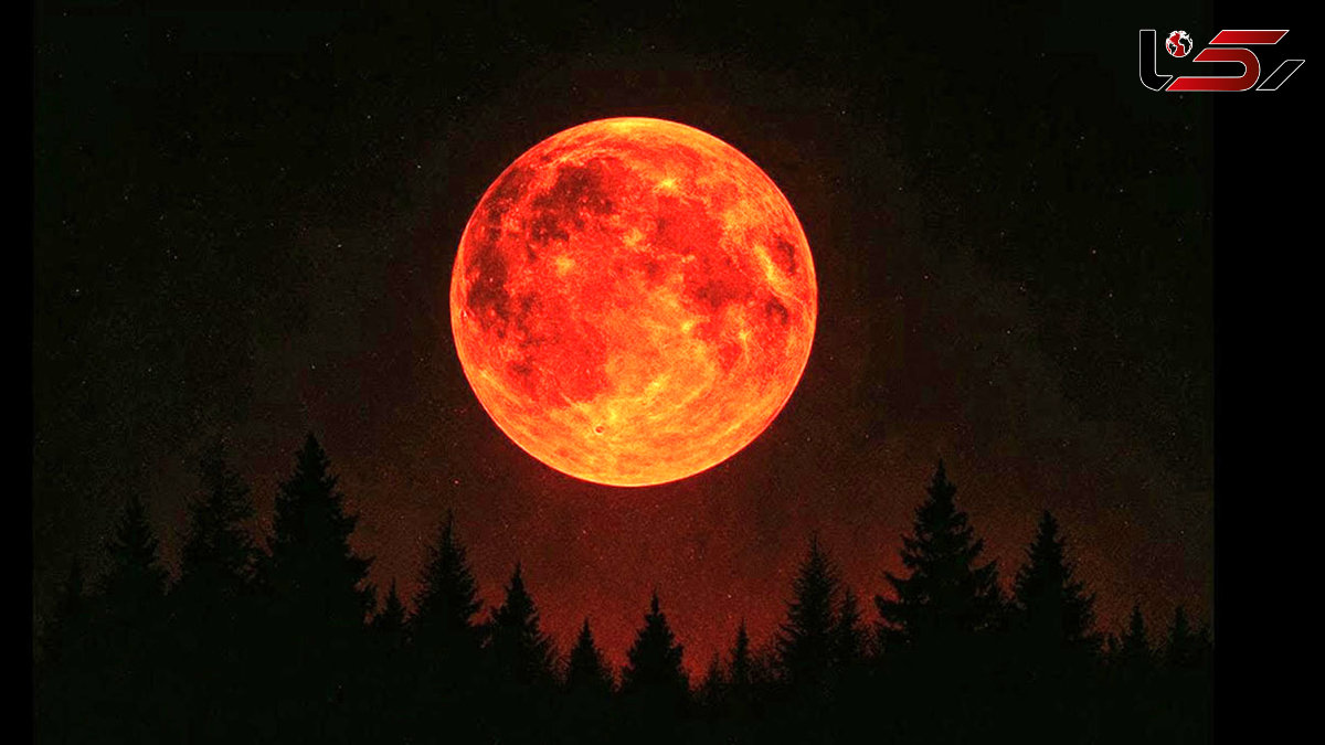 Spectacular Lunar Eclipse Captivates Observers Worldwide + Photos