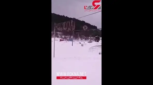 روش جالب میمون‌ها برای جلوگیری از خیس شدن در روزهای برفی + فیلم