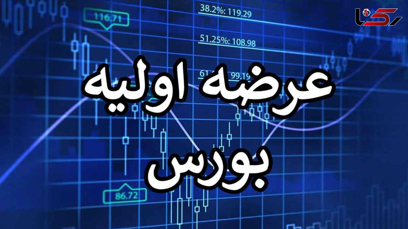 نهمین عرضه اولیه سال 1402 این هفته انجام می شود