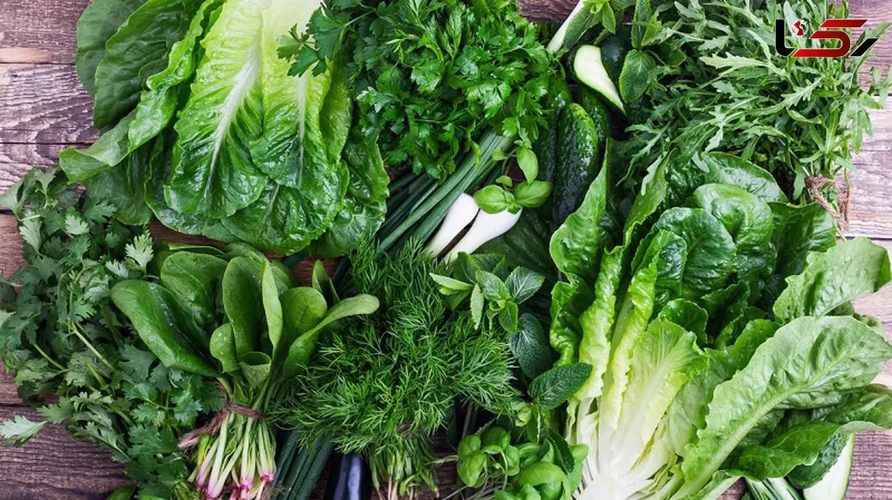 خطر آلودگی سبزیجات به مدفوع سگ و گربه / هشدار به مصرف لبنیات غیرپاستوریزه