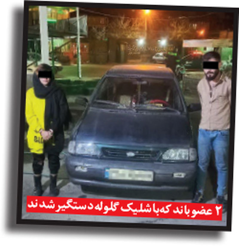رئیس پلیس خراسان رضوی از دستگیری اعضای باند بزرگ سرقت خبر داد