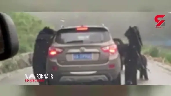 فیلم لحظه حمله 4 خرس سیاه به ماشین شاسی بلند در جاده + عکس