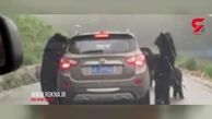 فیلم لحظه حمله 4 خرس سیاه به ماشین شاسی بلند در جاده + عکس