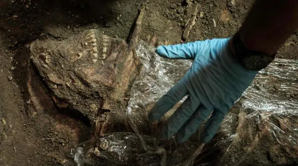 تصاویر بزرگترین گورستان دسته جمعی در خانه یک زن + عکس