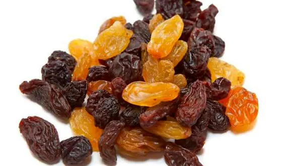 قیمت خرید کشمش کفاف هزینه تولید کشاورز را هم نمی‌دهد 