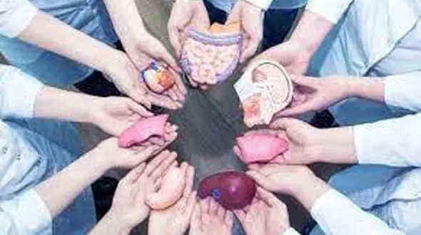 اهدای عضو معلم قرآن قمی به بیماران نیازمند