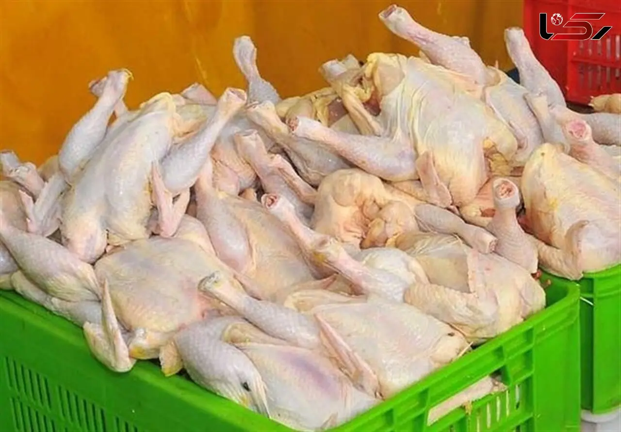  مرغ باز گران شد