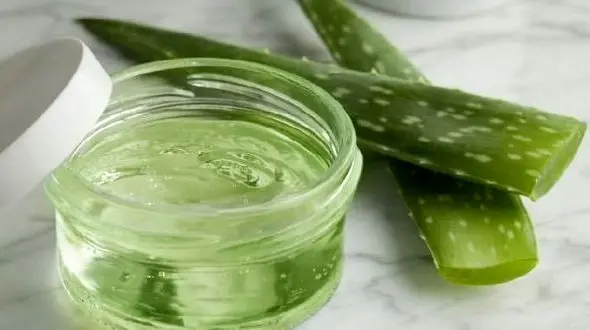 ژل آلوئه ورا و تقویت موهای نازک سر