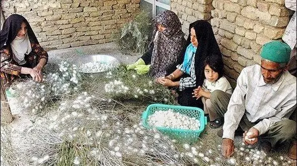 جزئیات مصوبات ستاد حمایت از مشاغل خانگی / وام کارفرمایی ۴ میلیارد تومان شد 