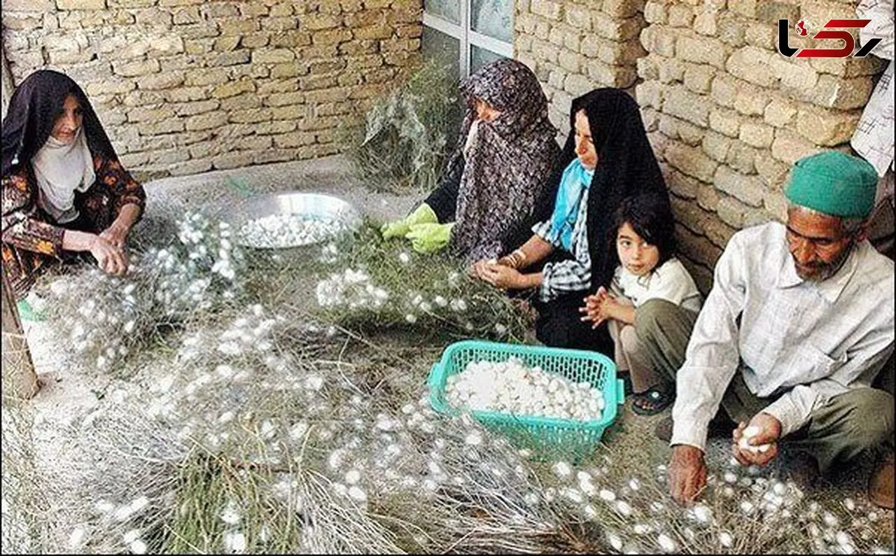 جزئیات مصوبات ستاد حمایت از مشاغل خانگی / وام کارفرمایی ۴ میلیارد تومان شد 