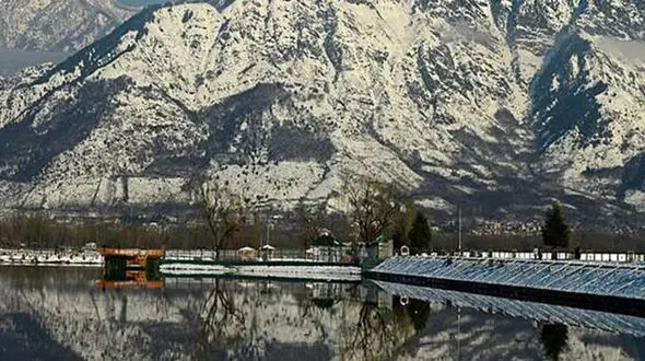 7 کشته در پی سقوط تله کابین در کشمیر 