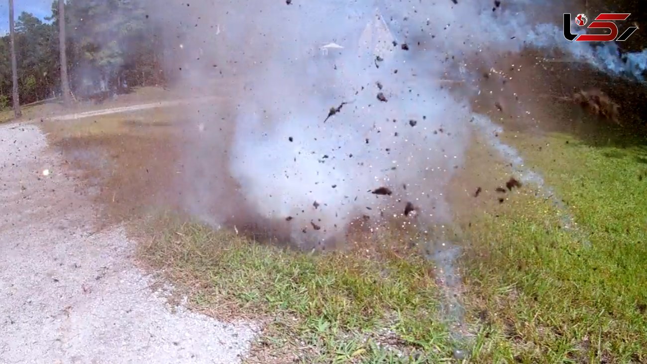 انفجار لانه مورچه های آتشین / اقدام عجیب یک مرد را ببینید + فیلم