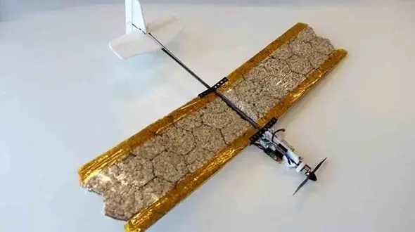 این پهپاد خوردنی است! + عکس