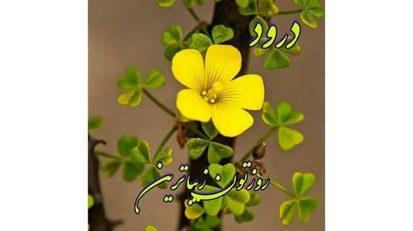 فال و طالع بینی 2 مهر ماه + فیلم 