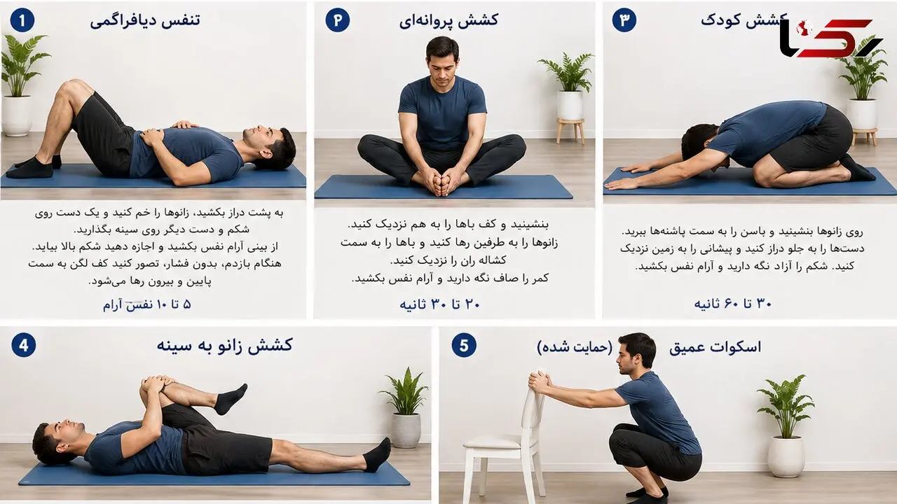 6 تمرین کششی برای کاهش گرفتگی عضلات پرکار کف لگن + اینفوگرافیک