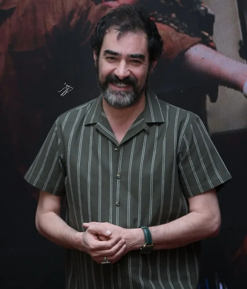 شهاب حسینی