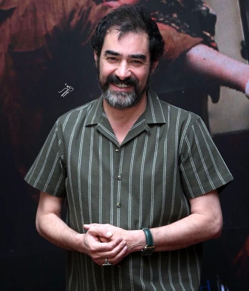 شهاب حسینی