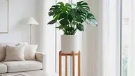 مدل های پایه گلدان مدرن و شیک؛ ایده‌ های خاص برای دکوراسیون خانه در سال ۱۴۰۵