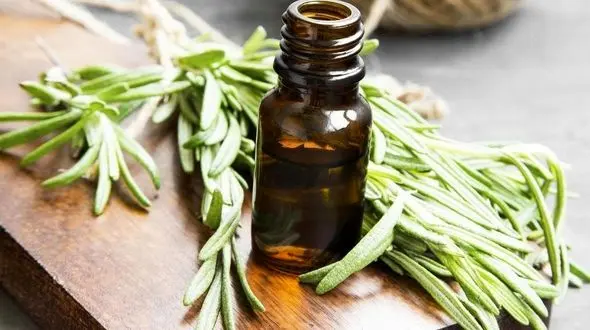 تقویت مو با این عصاره روغنی/رشد موهای تان چند برابر می شود