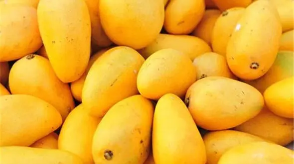 انبه ای که هسته ندارد + فیلم