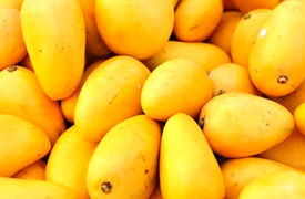 انبه ای که هسته ندارد + فیلم