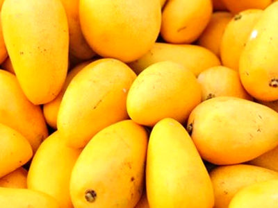 انبه ای که هسته ندارد + فیلم