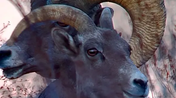 شروع صبح با یک قاب زیبا