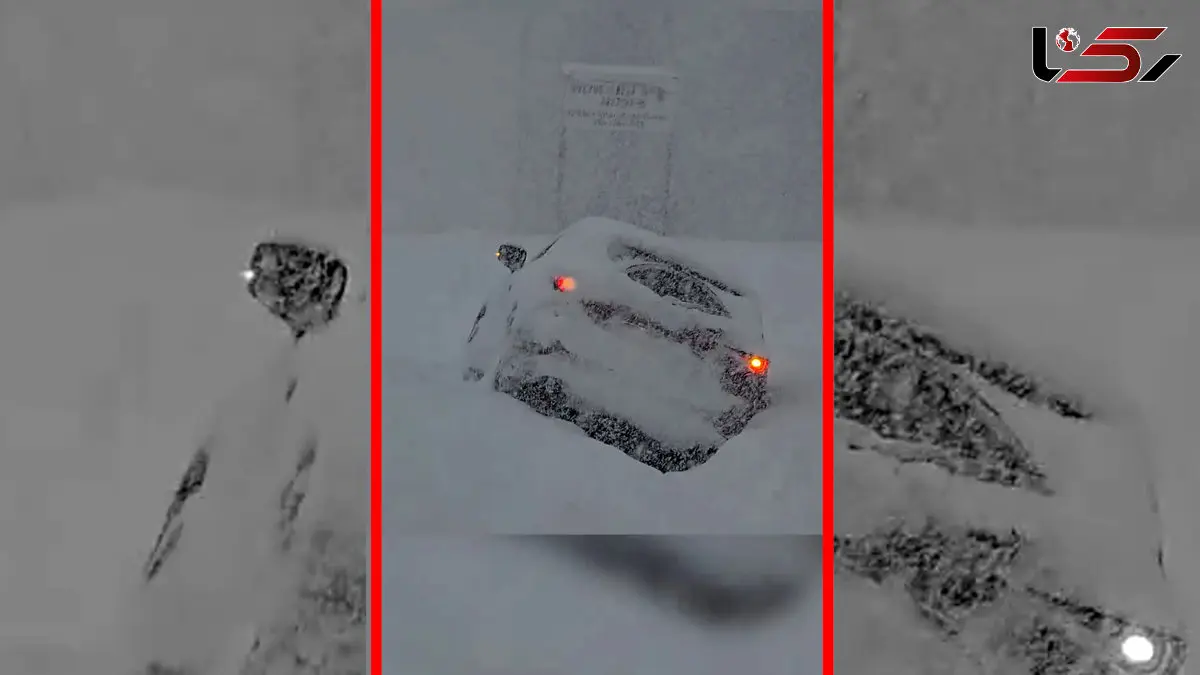 فیلم مدفون شدن خودروها زیر برف در اسوگو نیویورک