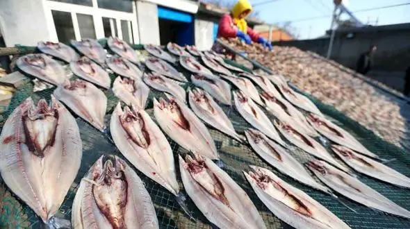 نحوه خشک کردن ماهی توسط چینی ها + عکس