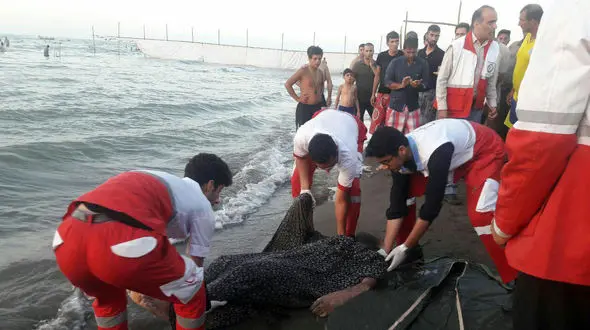 راز جسد مرد ناشناس در پارکینگ ۴ بابلسر + عکس 