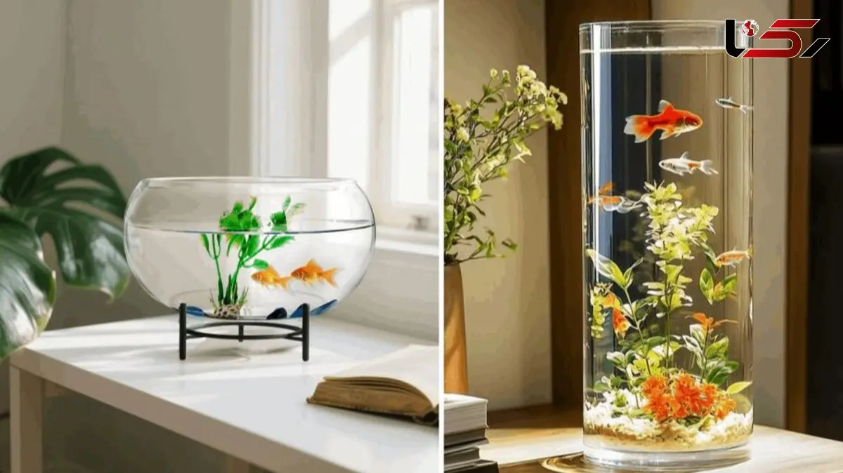 زیباترین مدل های تنگ ماهی هفت سین 1405 / از کلاسیک تا فانتزی برای دکور جذاب