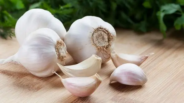 سیر نابود کننده انواع سرطان ها