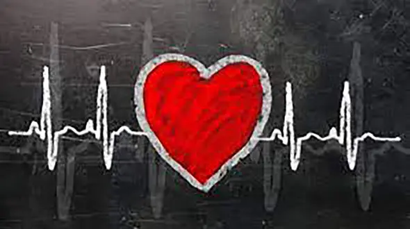 قلب سالم خانم ها در گرو ورزش صبحگاهی