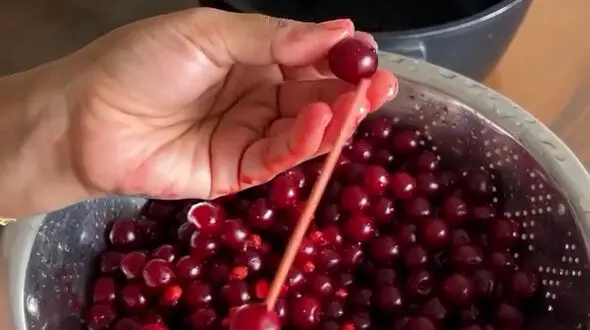 فیلم از نحوه هسته گیری راحت آلبالو