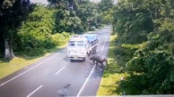 فیلم عجیب از حمله کرگدن به یک کامیون در حال حرکت / ببینید