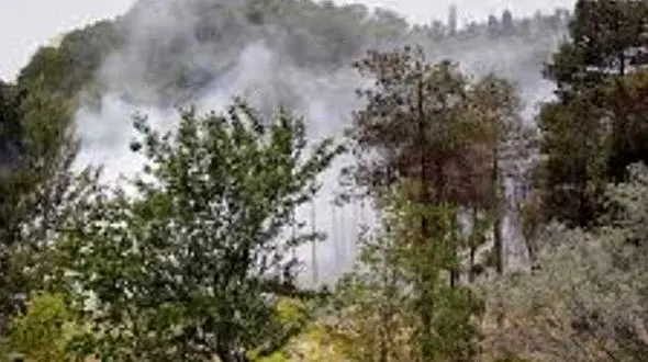 متهم به آتش کشیدن پارک چیتگر دستگیر شد