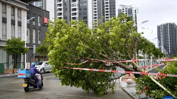 هشدار چین نسبت به شرایط سخت‌تر آب‌وهوایی پس از وقوع ۲ گردباد سهمگین