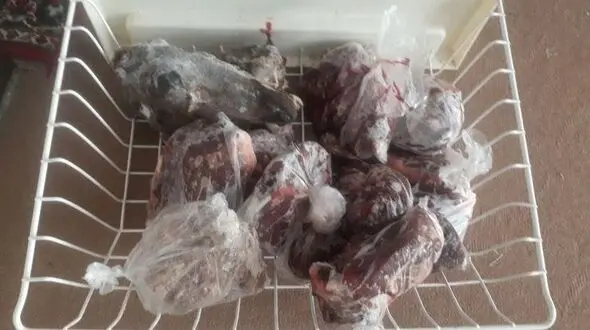 دستگیری شکارچی قوچ وحشی در مشهد