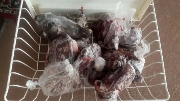 دستگیری شکارچی قوچ وحشی در مشهد