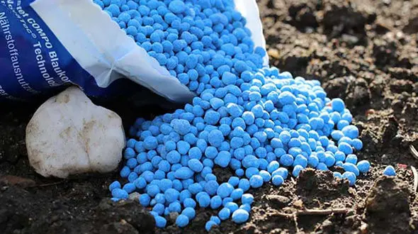 افزایش 6 برابری قیمت کودکشاورزی تولید را کاهش می دهد