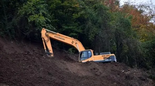 اره های مرگ در جان درختان شمال کشور / نامه های امام جمعه هم به جایی نرسید