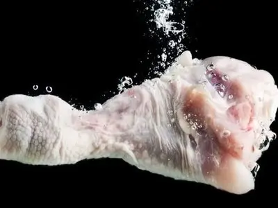 چرا نباید مرغ خام را بشوییم؟ حقایق مهمی که باید بدانید