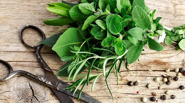 کاشت سبزی خوردن در خانه با ساده ترین ترفندها