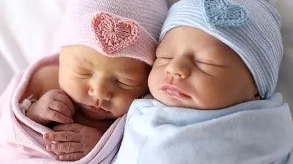 شرط پرداخت یارانه موالید جدید چیست؟