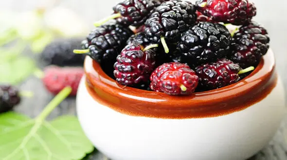 میوه ای که بدن را از سموم پاک می کند