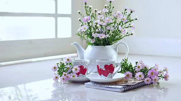 گلدان هایی زیبا با فنجان های ترک خورده